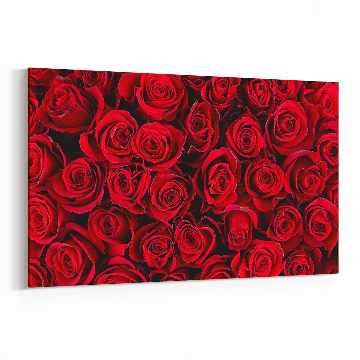 Olla 11629Y Çiçek Görseli Yatay Kanvas Tablo (Ölçü: 90X60)