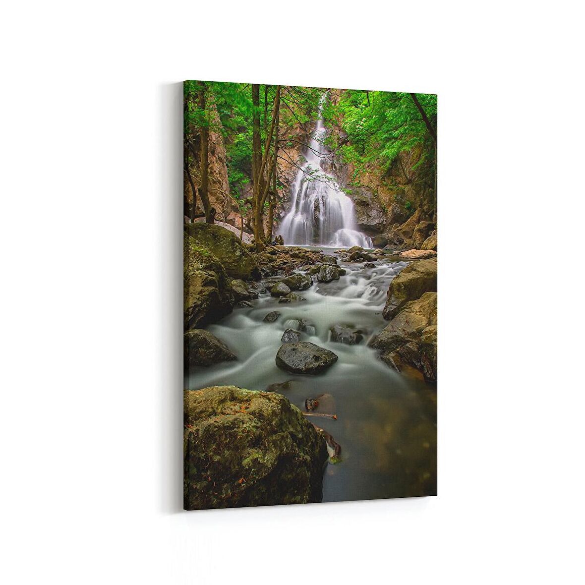 Olla 13164D Doğa / Manzara Görseli Dikey Kanvas Tablo (Ölçü: 60X90)