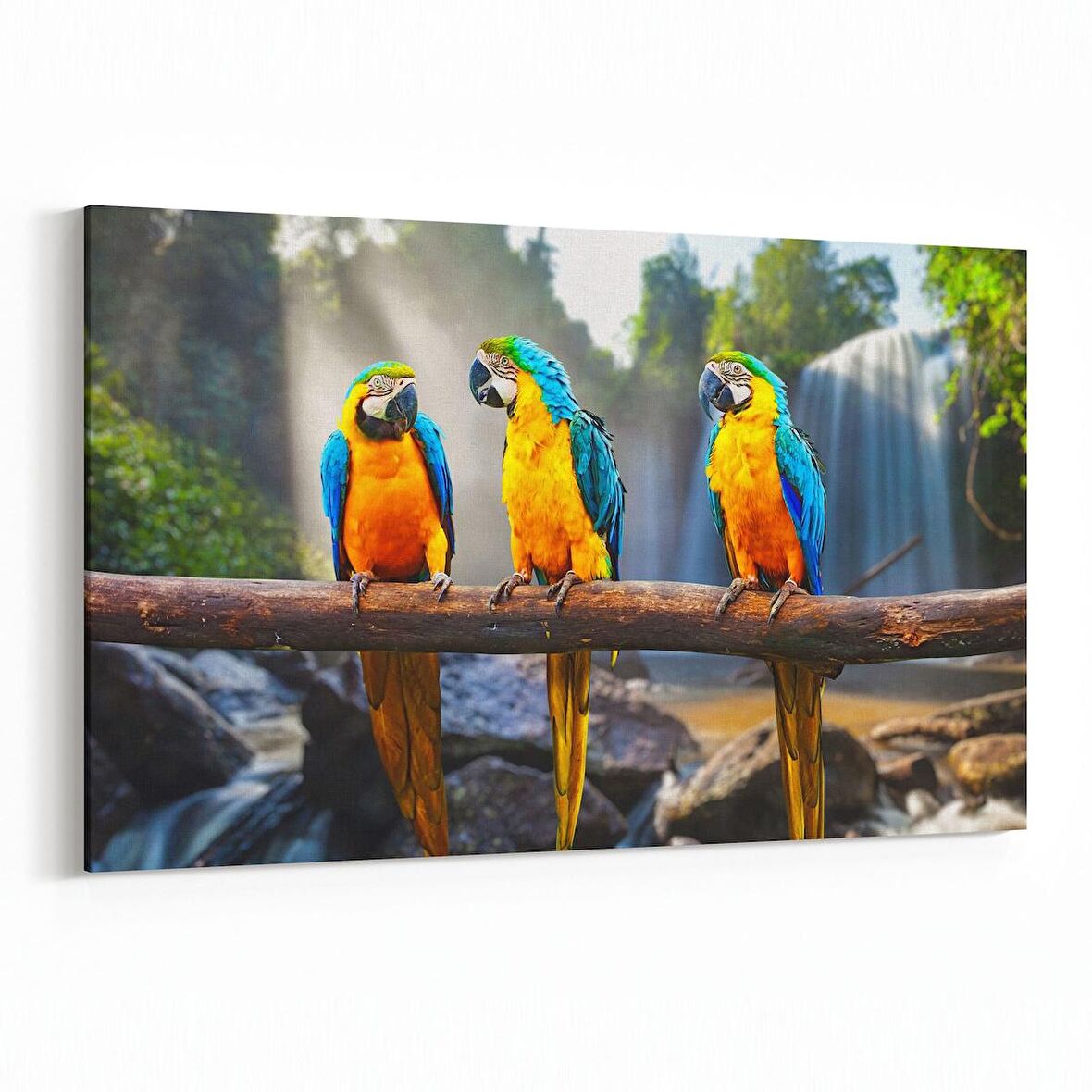 Olla 12560Y Hayvanlar Alemi Görseli Yatay Kanvas Tablo (Ölçü: 150X100)