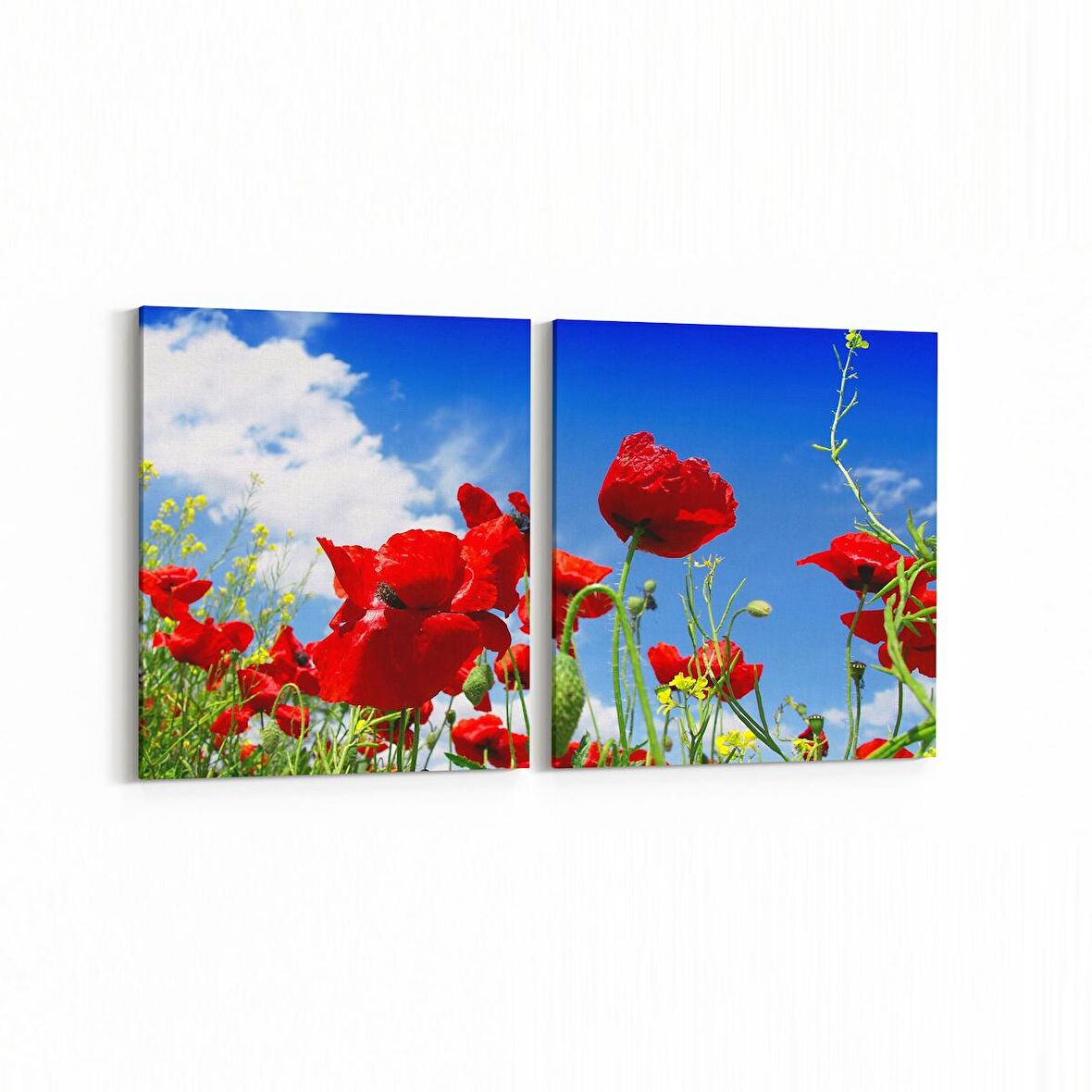 Olla 10695K2Y Ağaç Görseli Kare 2'li Yatay Kanvas Tablo (Ölçü: 85X40)