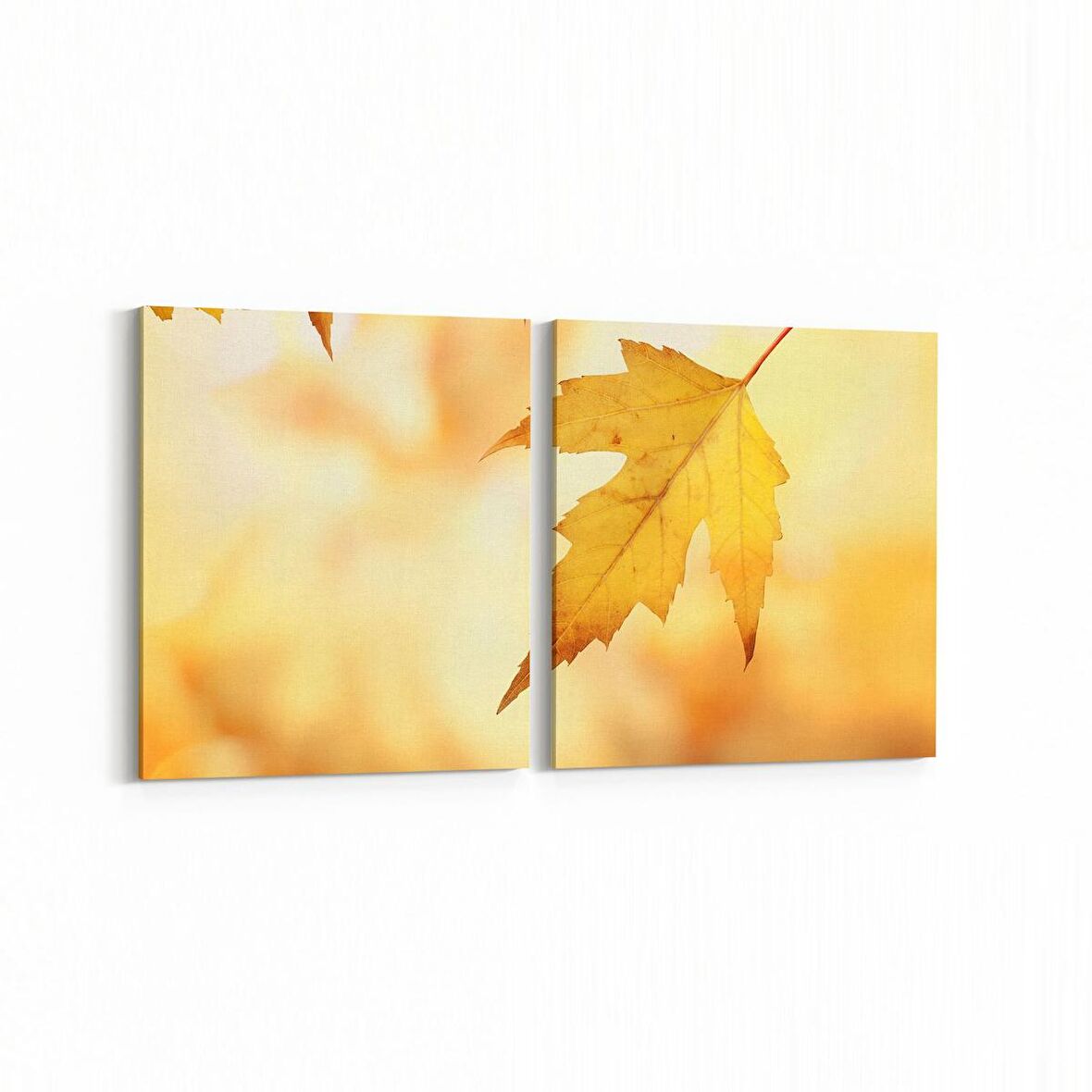 Olla 11040K2Y Ağaç Görseli Kare 2'li Yatay Kanvas Tablo (Ölçü: 125X60)