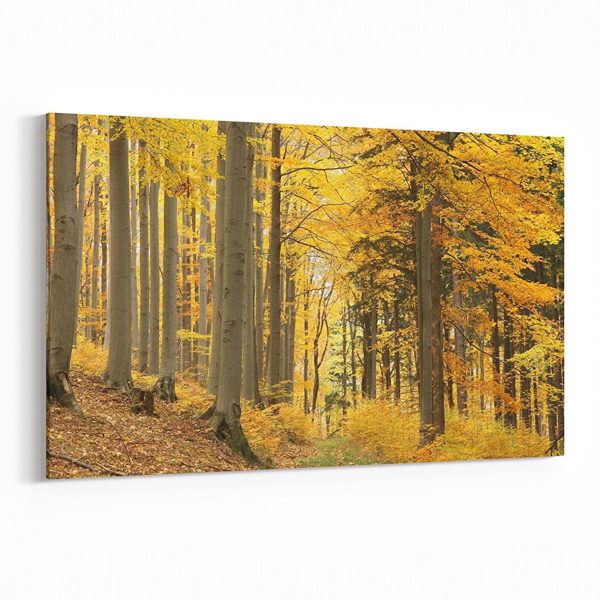 Olla 14599Y Doğa / Manzara Görseli Yatay Kanvas Tablo (Ölçü: 120X80)