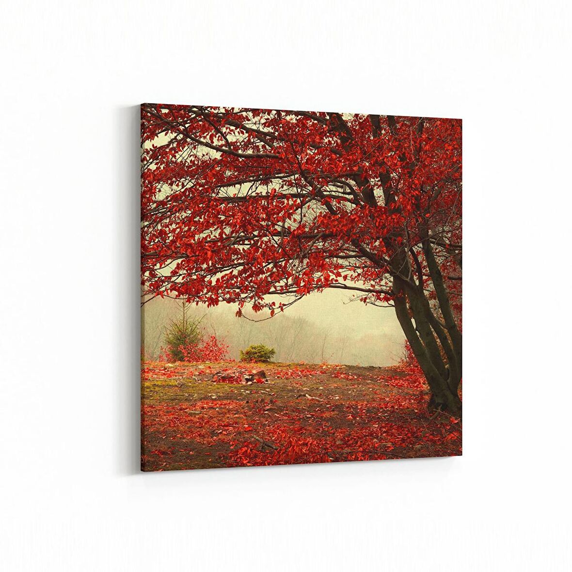 Olla 13338K Doğa / Manzara Görseli Kare Kanvas Tablo (Ölçü: 60X60)