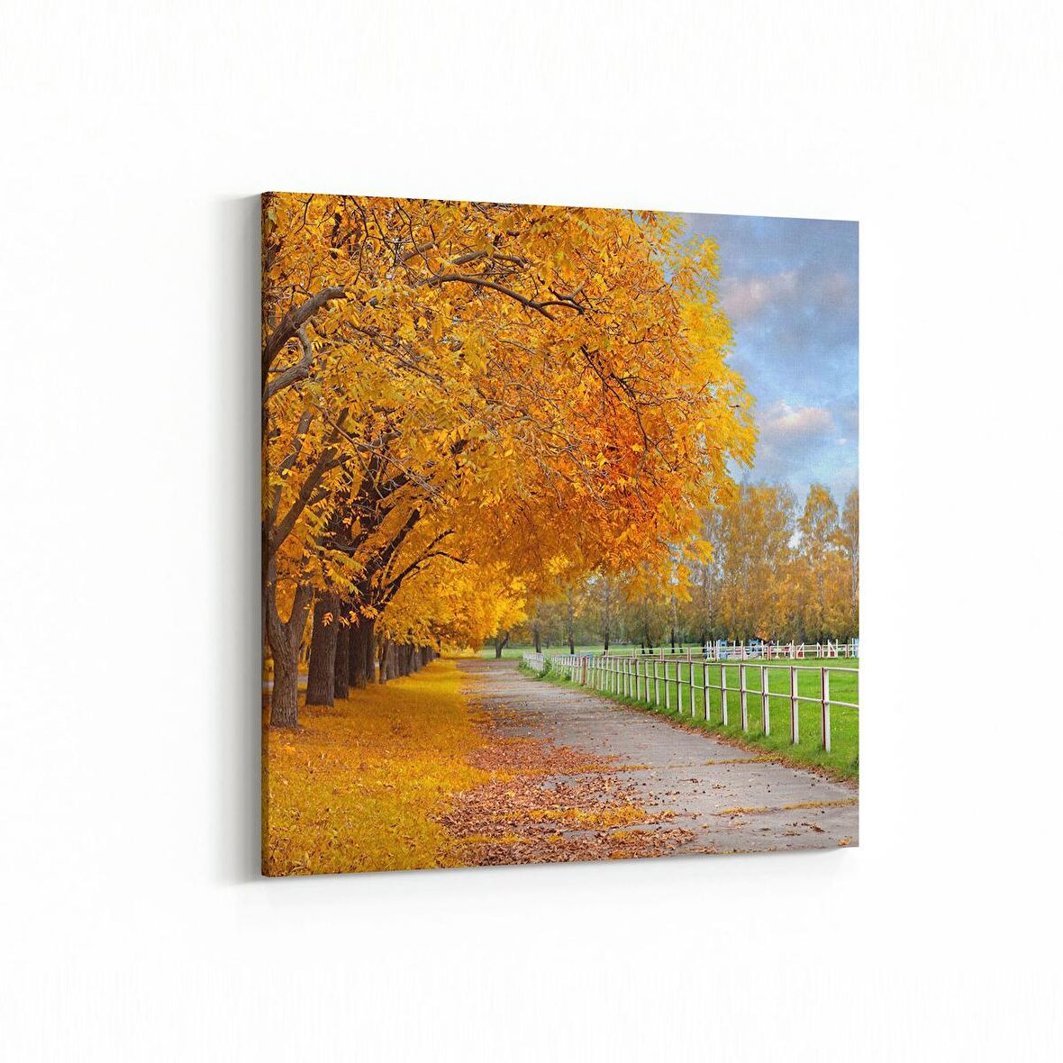 Olla 14413K Doğa / Manzara Görseli Kare Kanvas Tablo (Ölçü: 25X25)