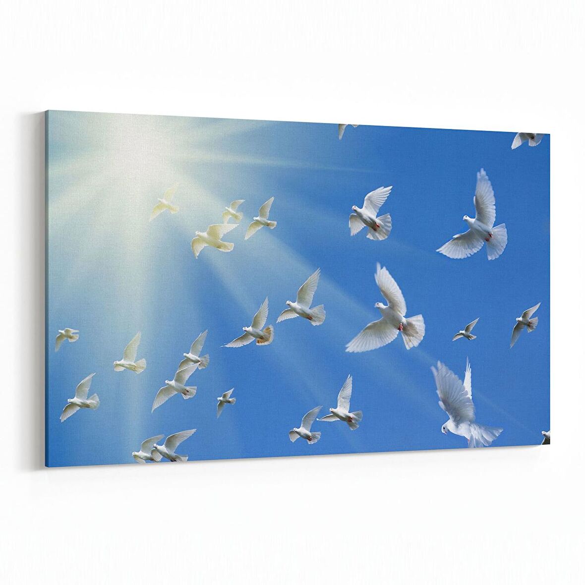 Olla 15869Y Gökyüzü Kuşlar Görseli Yatay Kanvas Tablo (Ölçü: 90X60)