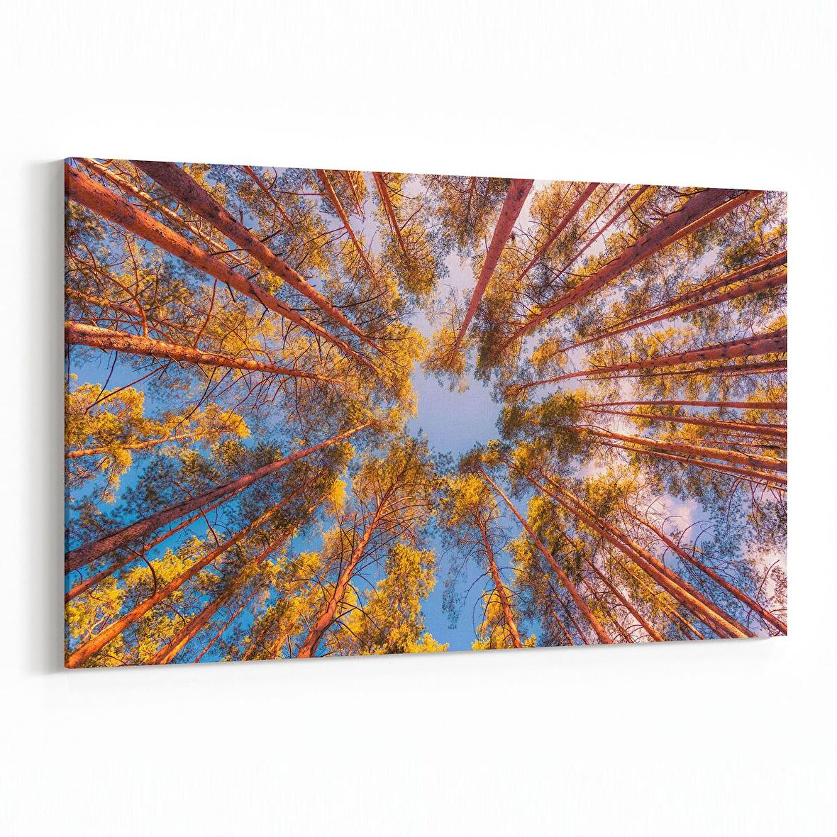 Olla 10869Y Ağaç Görseli Yatay Kanvas Tablo (Ölçü: 150X100)