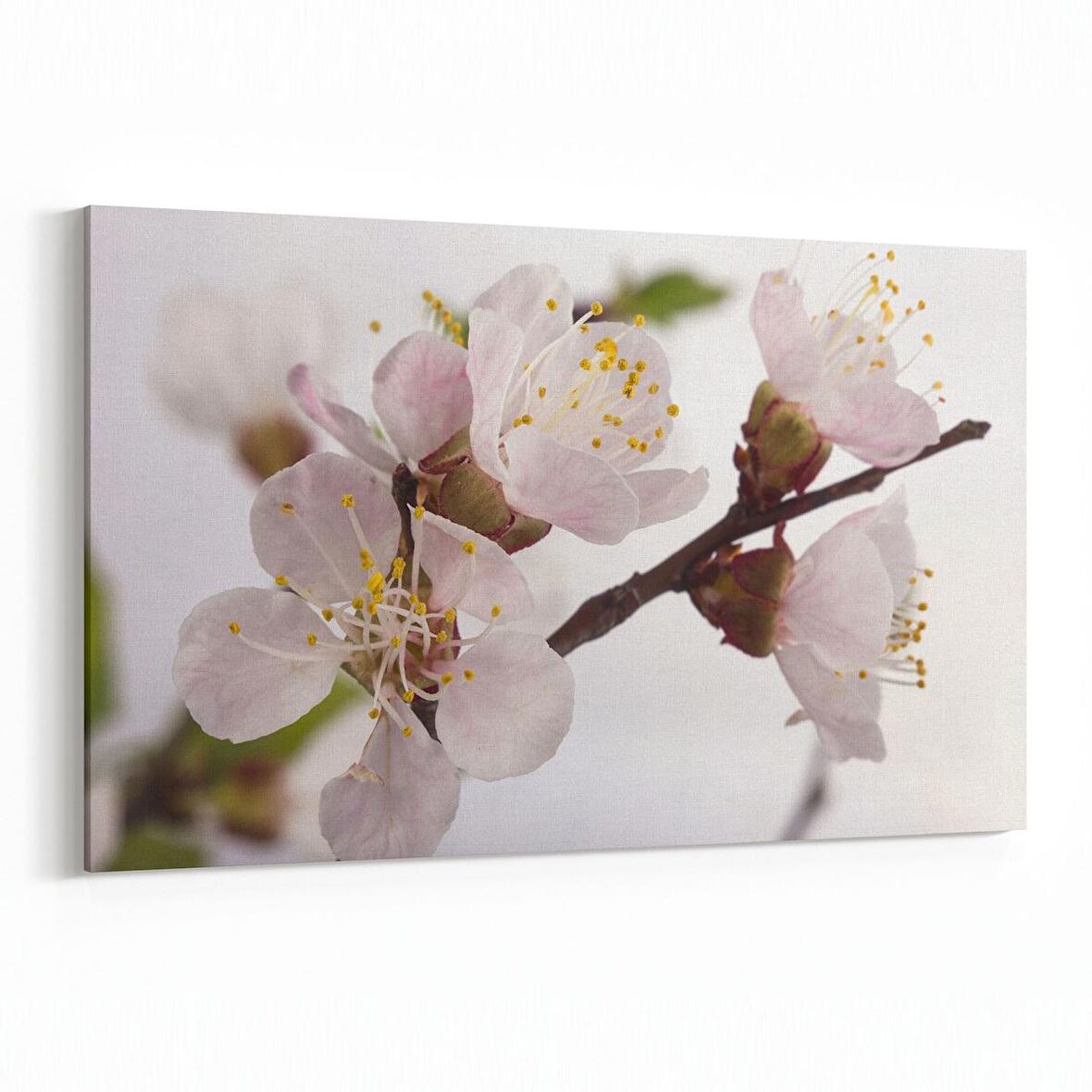 Olla 10854Y Ağaç Görseli Yatay Kanvas Tablo (Ölçü: 45X30)