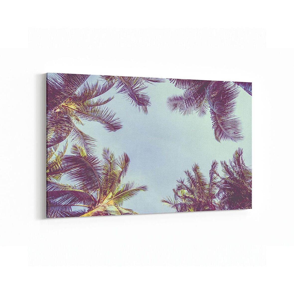 Olla 11522Y Palmiye Ağacı Görseli Yatay Kanvas Tablo (Ölçü: 45X30)