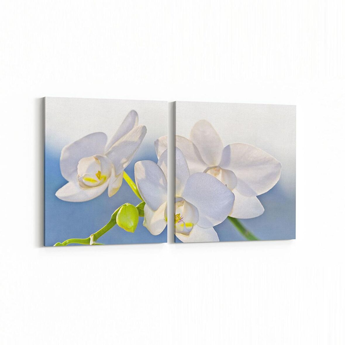 Olla 11758K2Y Orkide Çiçek Görseli 2'li Yatay Kanvas Tablo (Ölçü: 85X40)
