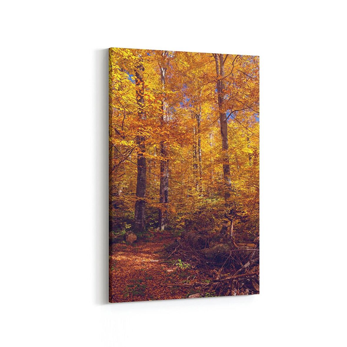 Olla 13551D Doğa / Manzara Görseli Dikey Kanvas Tablo (Ölçü: 60X90)