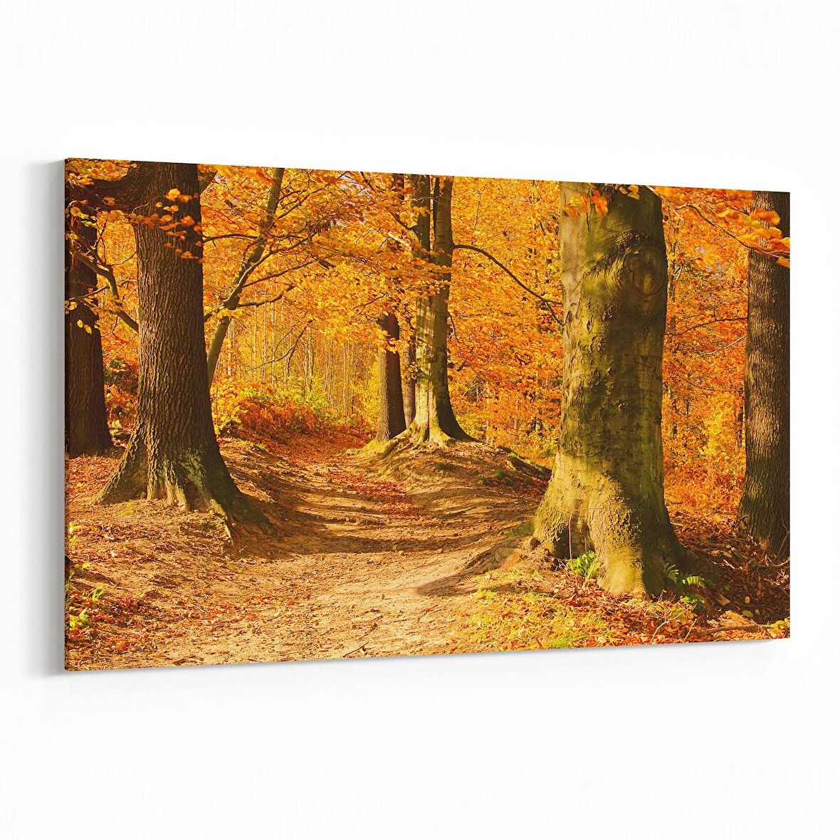 Olla 14344Y Doğa / Manzara Görseli Yatay Kanvas Tablo (Ölçü: 120X80)