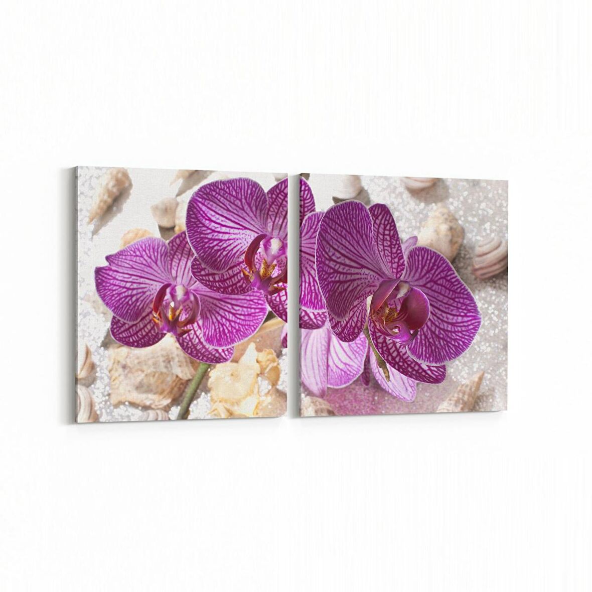 Olla 11652K2Y Orkide Çiçek Görseli 2'li Yatay Kanvas Tablo (Ölçü: 145X70)
