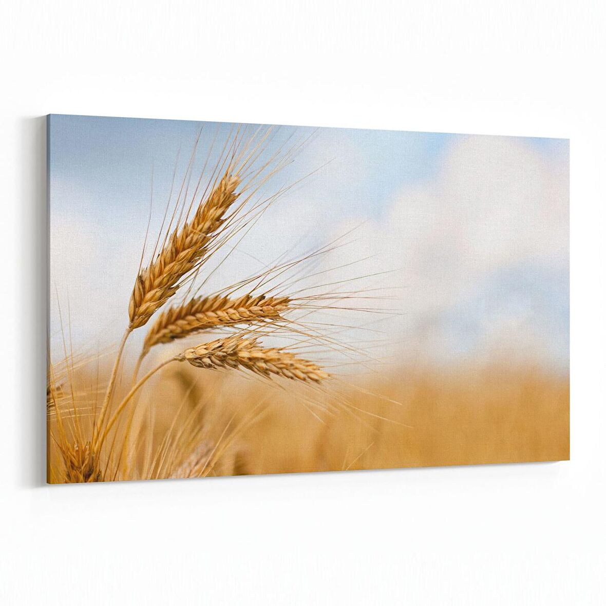 Olla 15241Y Gıda Görseli Yatay Kanvas Tablo (Ölçü: 90X60)