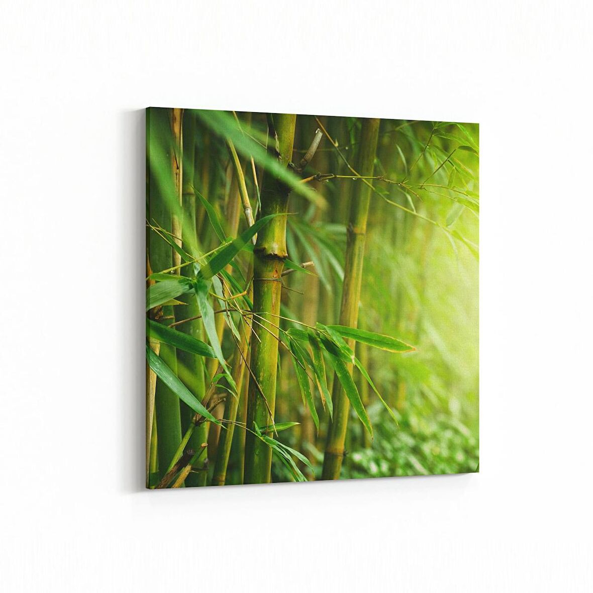 Olla 14620K Doğa / Manzara Görseli Kare Kanvas Tablo (Ölçü: 60X60)