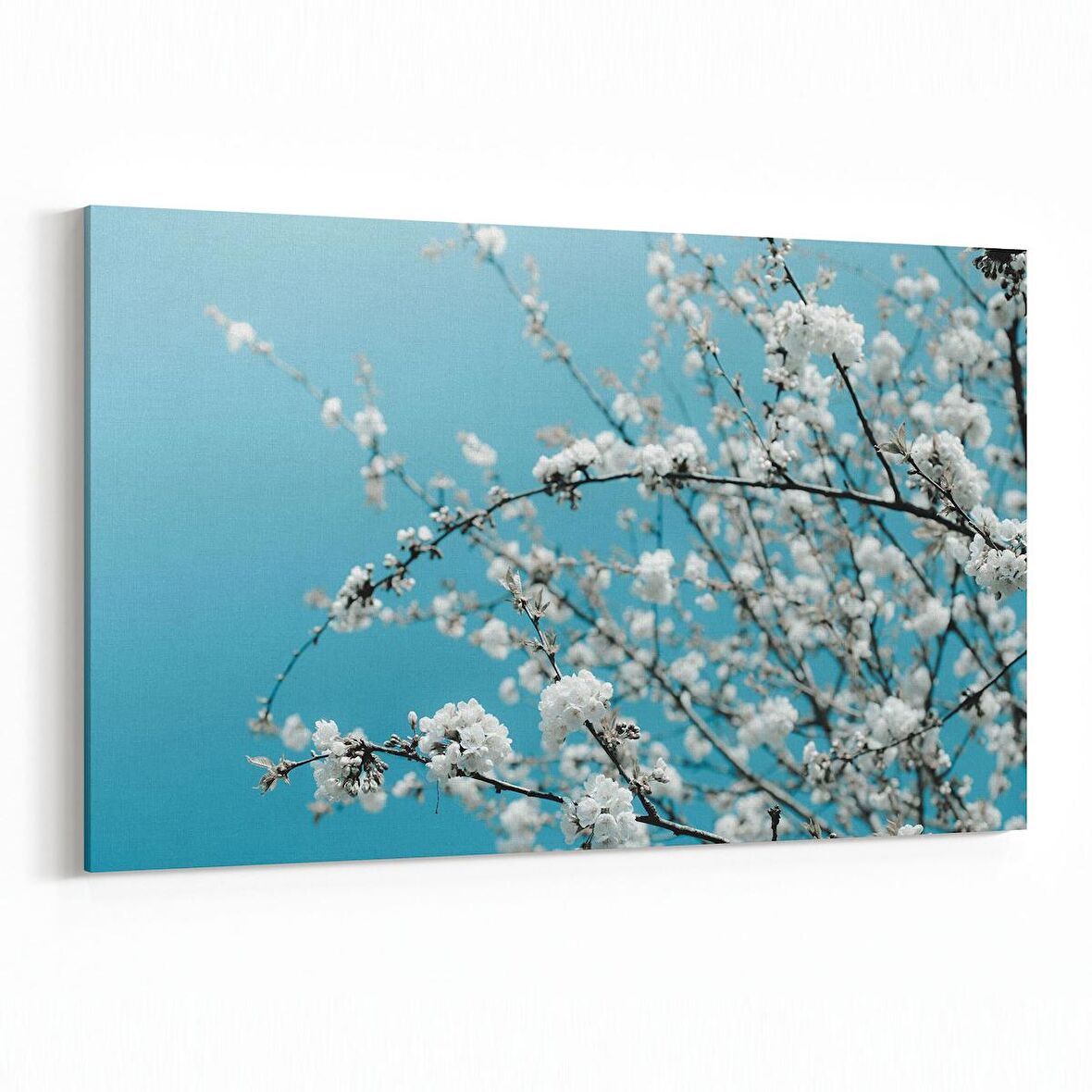 Olla 11001Y Ağaç Görseli Yatay Kanvas Tablo (Ölçü: 90X60)