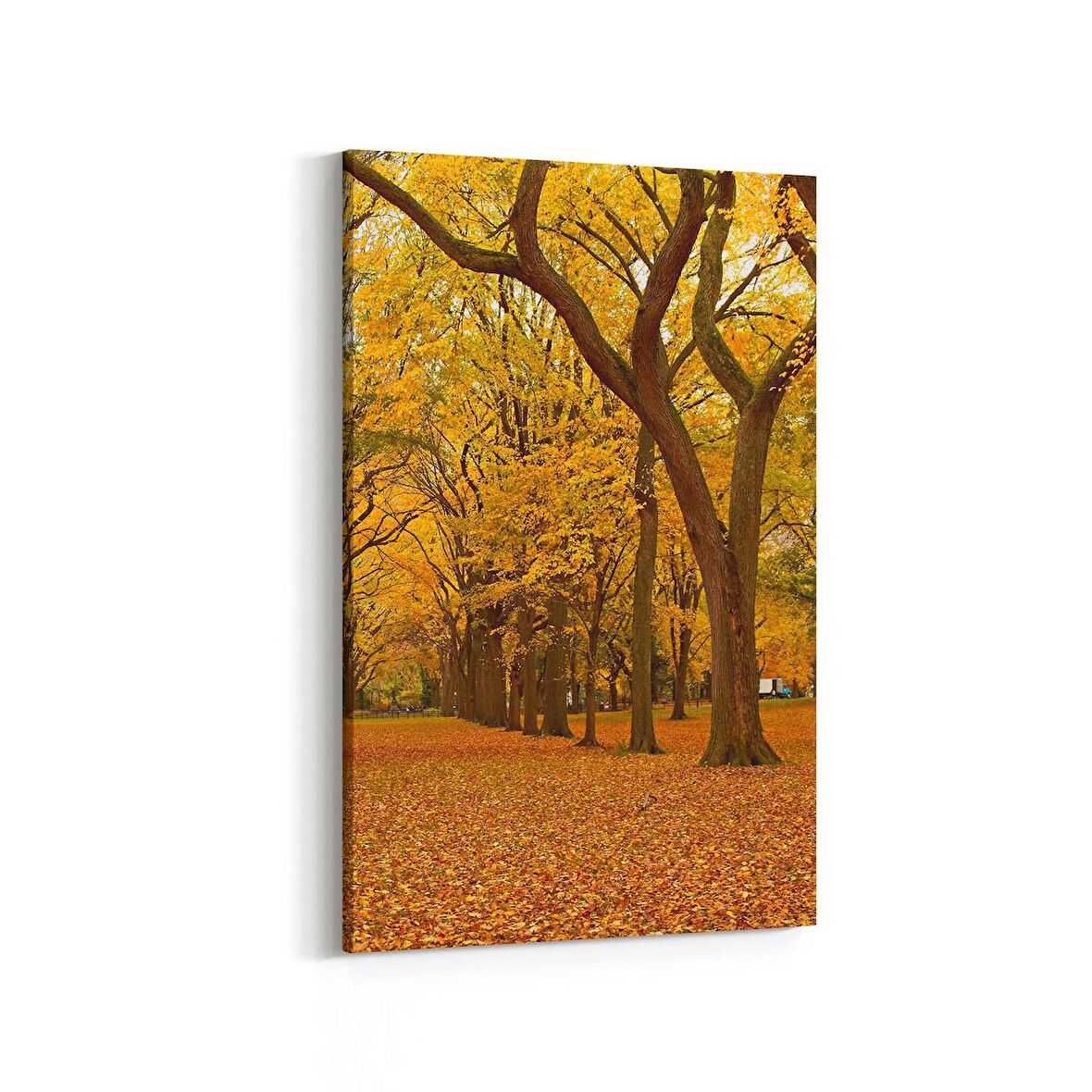 Olla 14541D Doğa / Manzara Görseli Dikey Kanvas Tablo (Ölçü: 100X150)