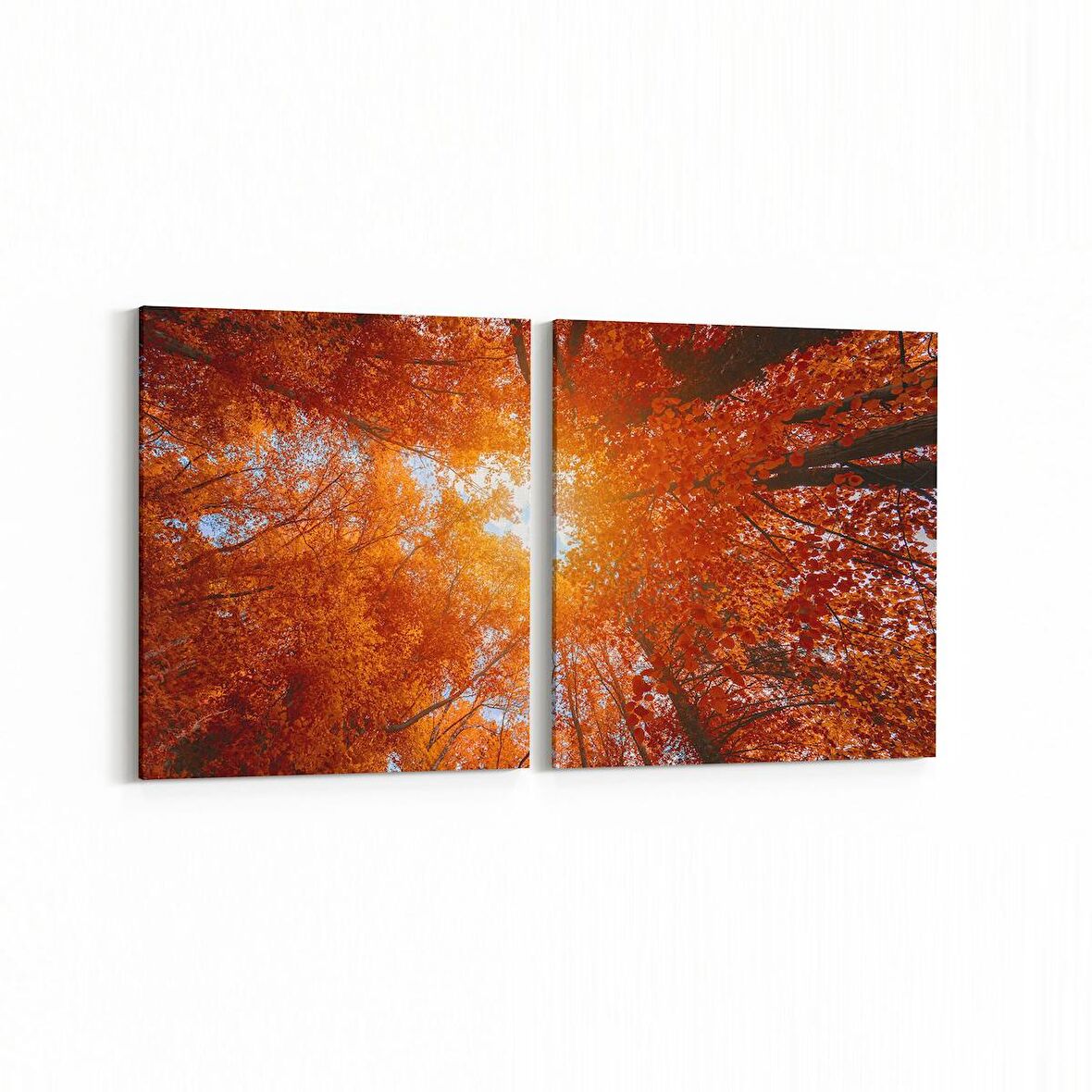 Olla 10509K2Y Ağaç Görseli Kare 2'li Yatay Kanvas Tablo (Ölçü: 125X60)