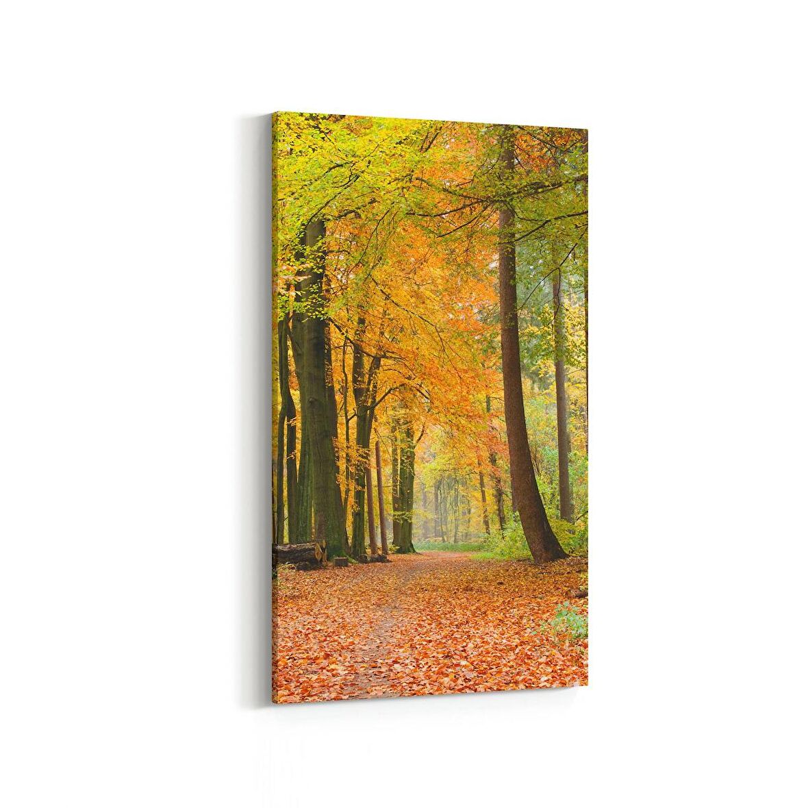 Olla 14341DD Doğa / Manzara Görseli Dikey Dar Kanvas Tablo (Ölçü: 60X120)