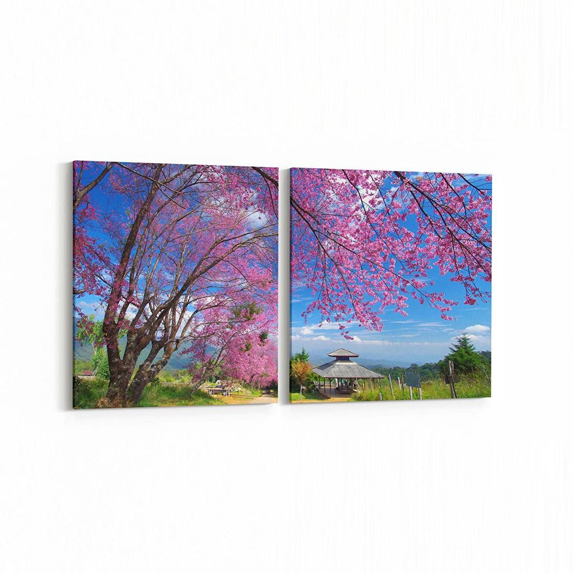 Olla 14600K2Y Doğa / Manzara Görseli Kare 2'li Yatay Kanvas Tablo (Ölçü: 65X30)