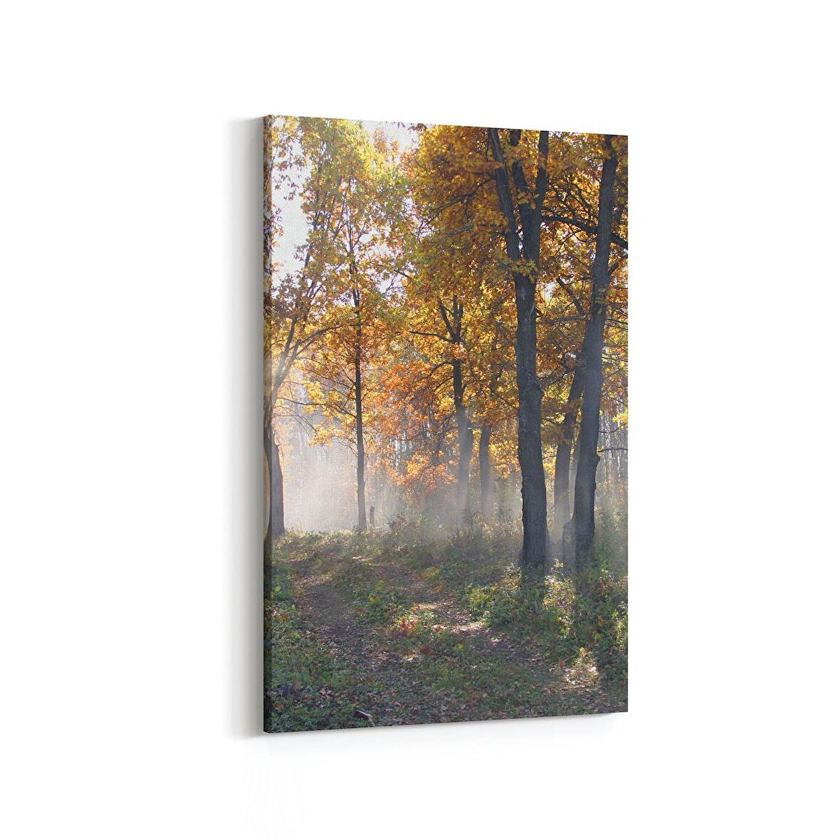 Olla 13419D Doğa / Manzara Görseli Dikey Kanvas Tablo (Ölçü: 40X60)