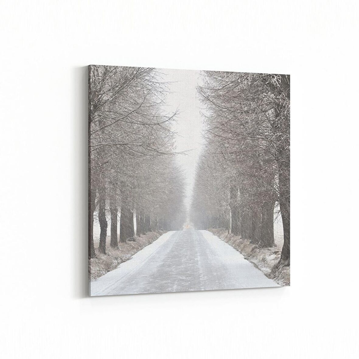 Olla 14403K Doğa / Manzara Görseli Kare Kanvas Tablo (Ölçü: 25X25)