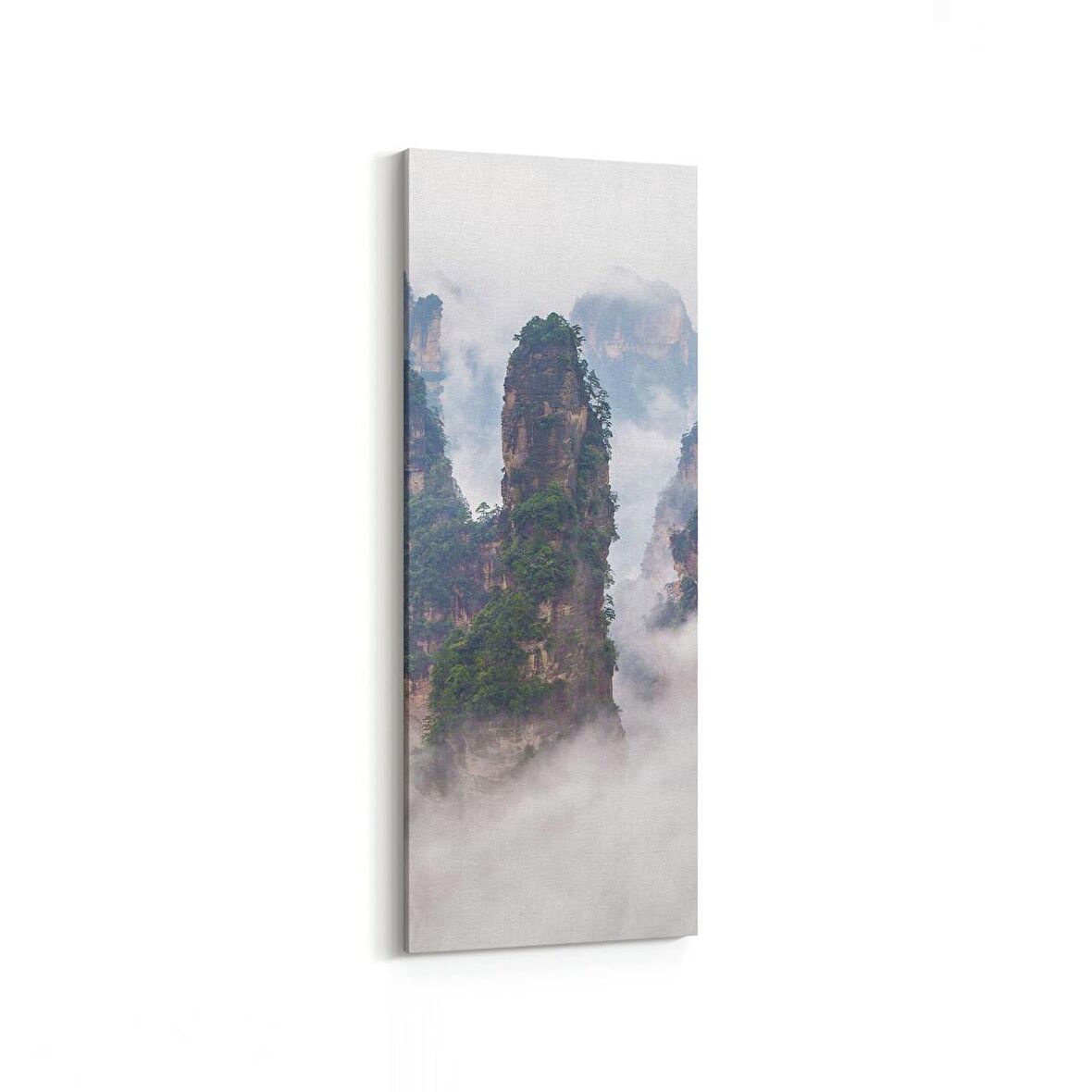 Olla 13451DI Doğa / Manzara Görseli Dikey İnce Kanvas Tablo (Ölçü: 40X120)