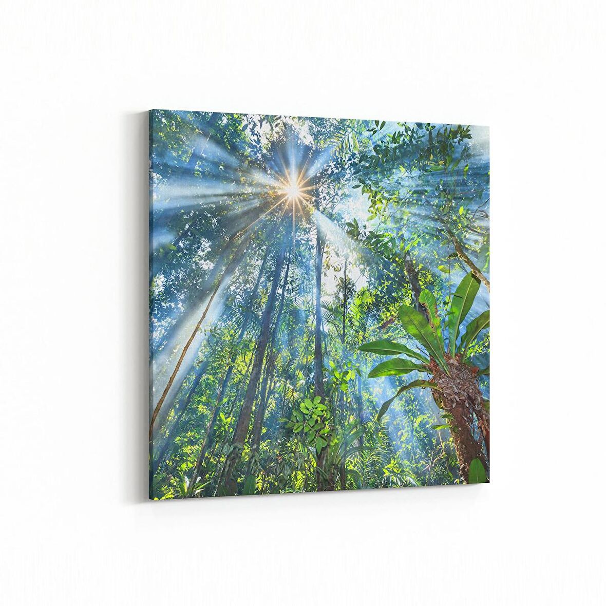 Olla 13682K Doğa / Manzara Görseli Kare Kanvas Tablo (Ölçü: 30X30)