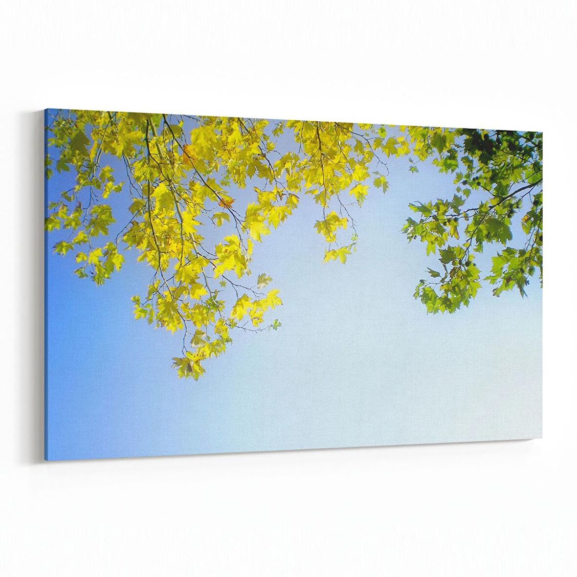 Olla 10864Y Ağaç Görseli Yatay Kanvas Tablo (Ölçü: 45X30)