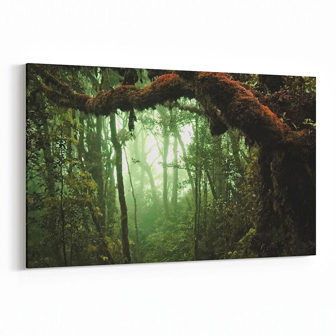 Olla 13514Y Doğa / Manzara Görseli Yatay Kanvas Tablo (Ölçü: 150X100)