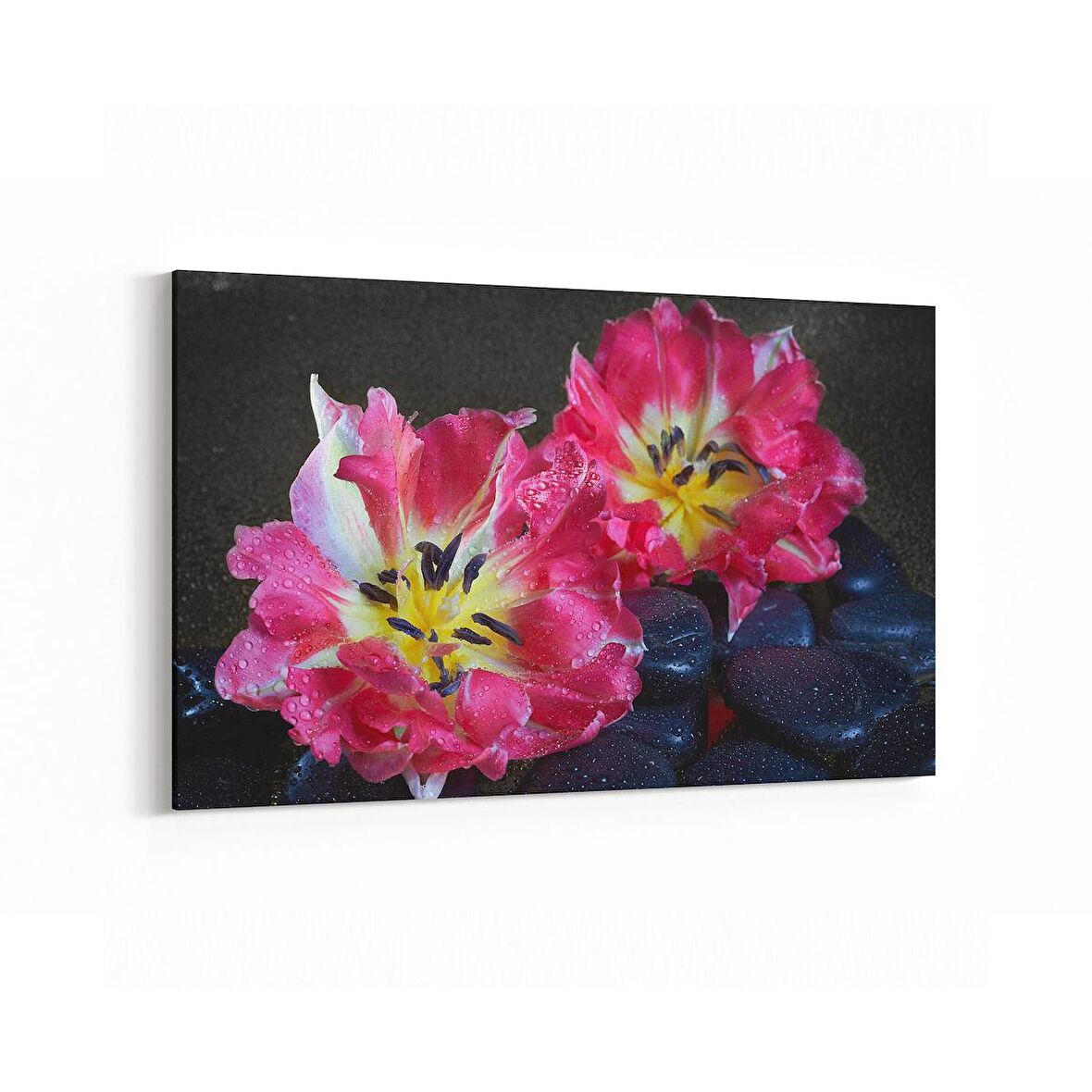 Olla 17070Y Spa / Masaj Görseli Yatay Kanvas Tablo (Ölçü: 45X30)