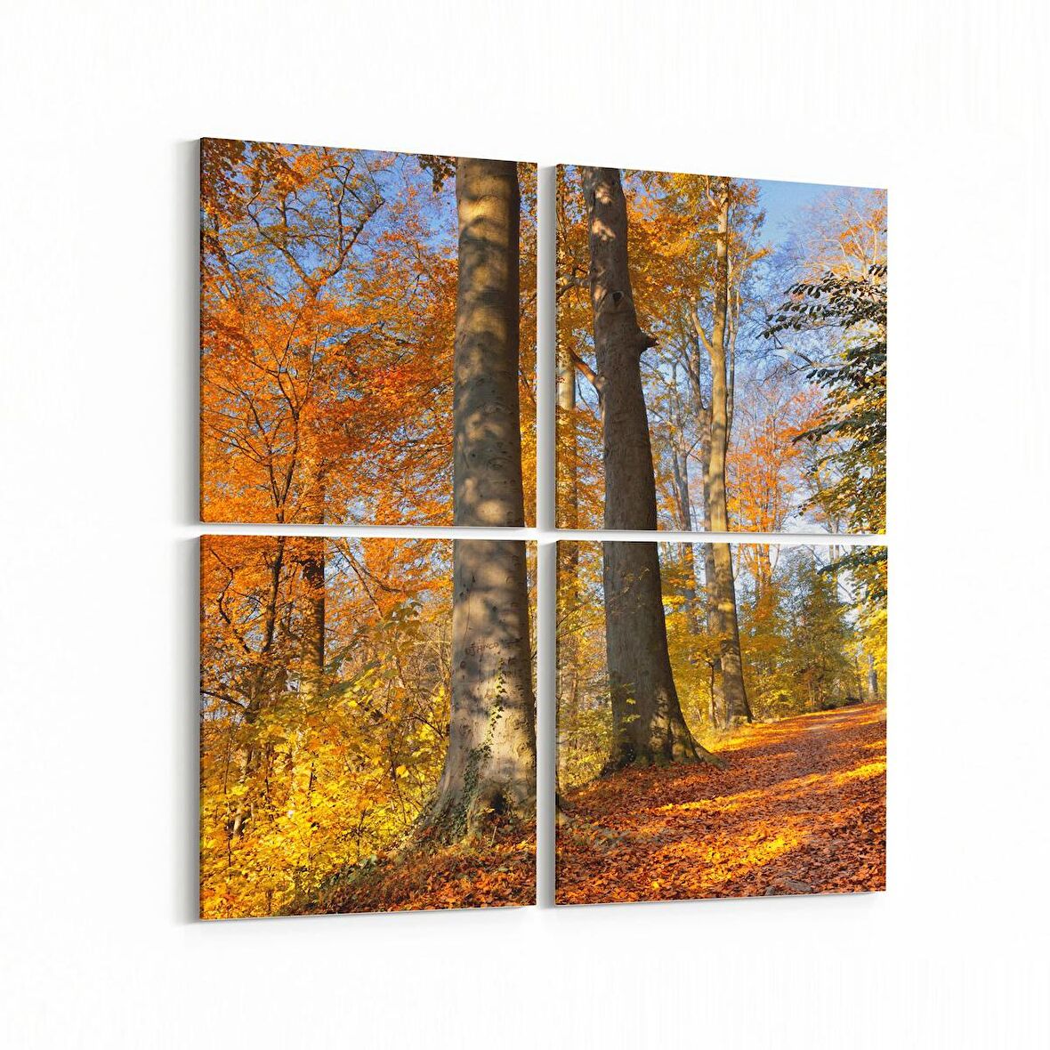 Olla 13255K4 Doğa / Manzara Görseli Kare 4'lü Kanvas Tablo (Ölçü: 125X125)