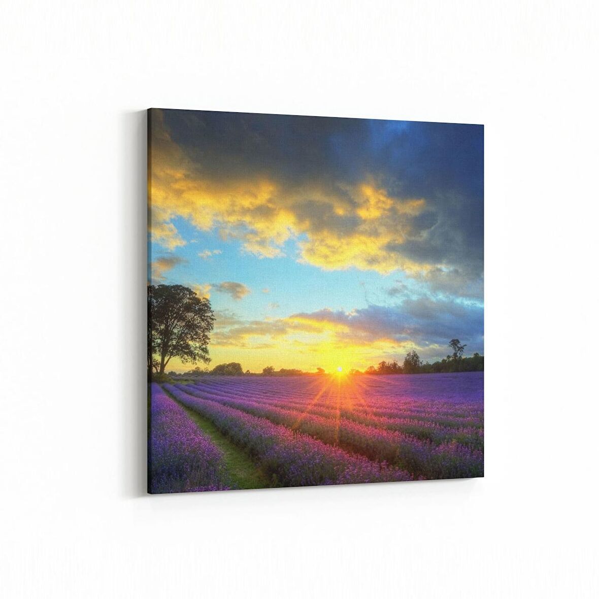 Olla 16112K Günbatımı Görseli Kare Kanvas Tablo (Ölçü: 25X25)