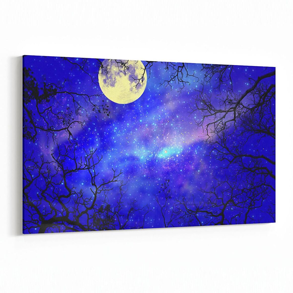 Olla 14790Y Gece Gökyüzü Görseli Yatay Kanvas Tablo (Ölçü: 150X100)