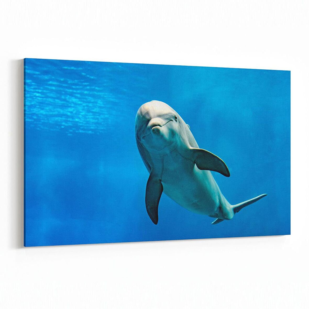 Olla 13007Y Deniz / Okyanus Görseli Yatay Kanvas Tablo (Ölçü: 70X50)