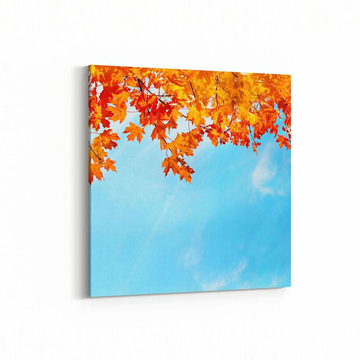 Olla 11025K Ağaç Görseli Kare Kanvas Tablo (Ölçü: 25X25)