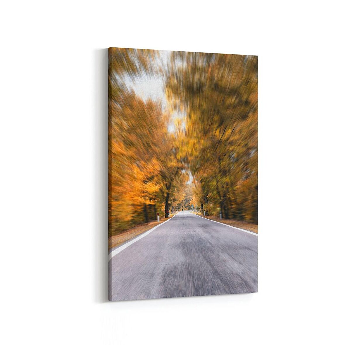 Olla 13306D Doğa / Manzara Görseli Dikey Kanvas Tablo (Ölçü: 60X90)