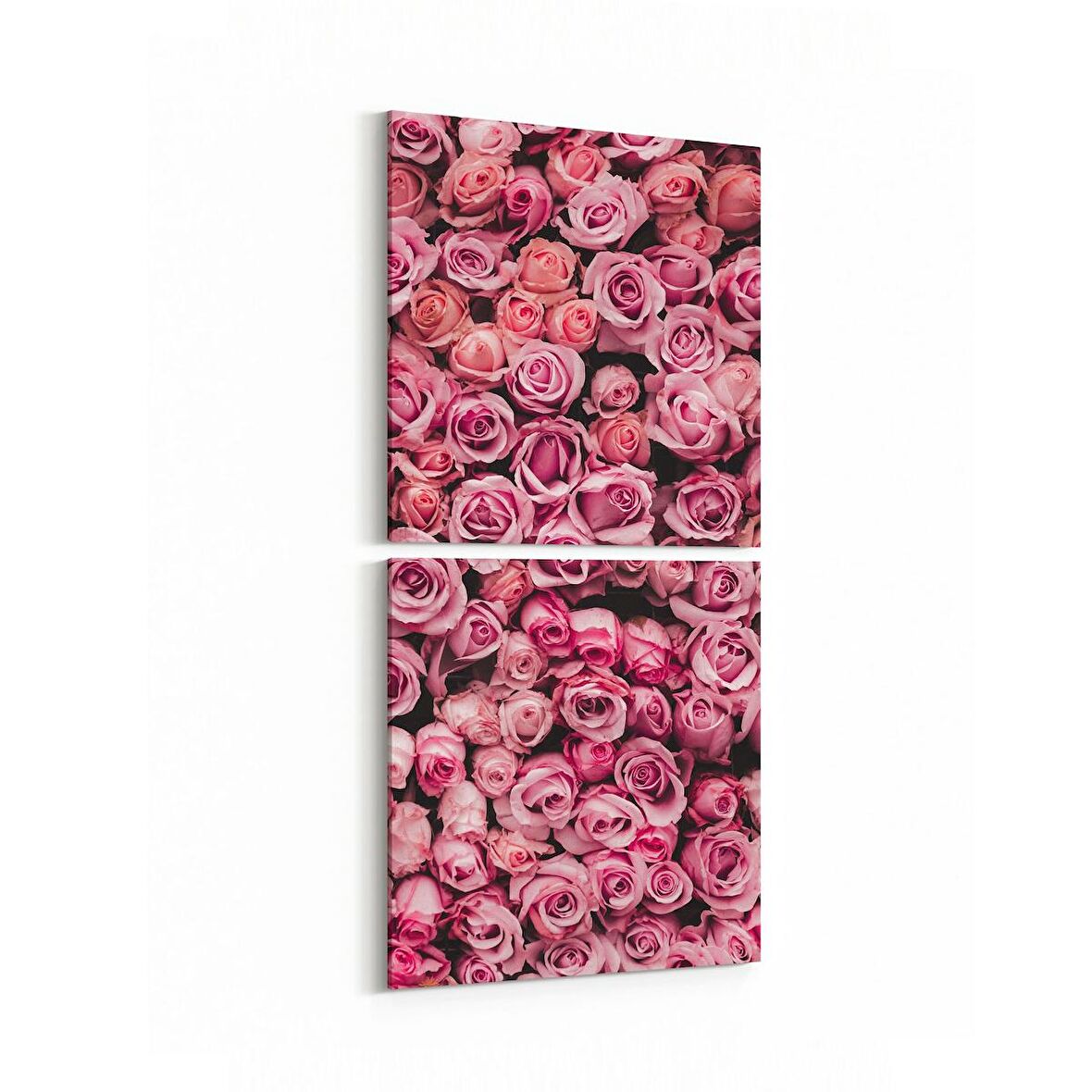 Olla 11627K2D Çiçek Görseli Kare 2'li Dikey Kanvas Tablo (Ölçü: 30X65)