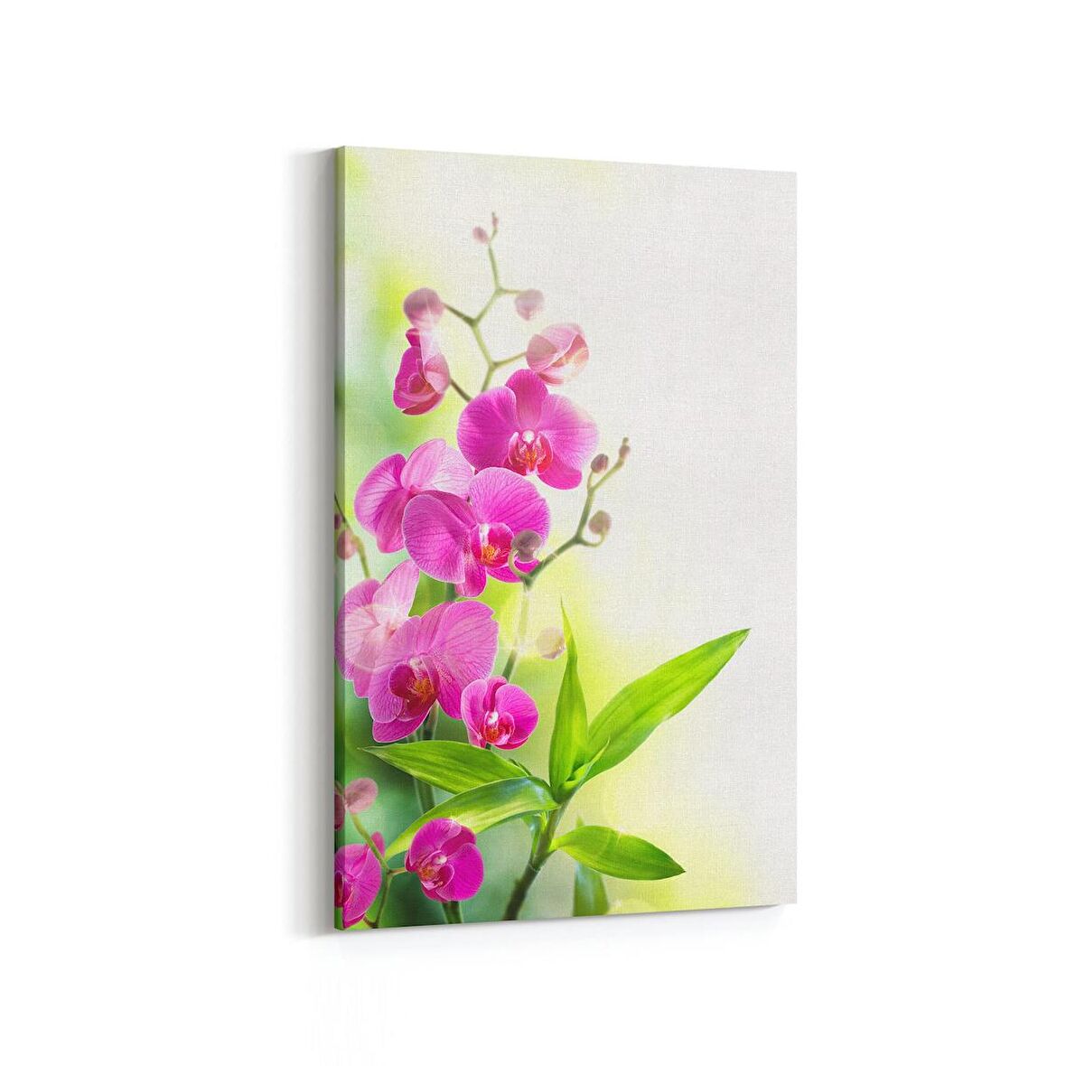 Olla 11685D Orkide Çiçek Görseli Dikey Kanvas Tablo (Ölçü: 100X150)