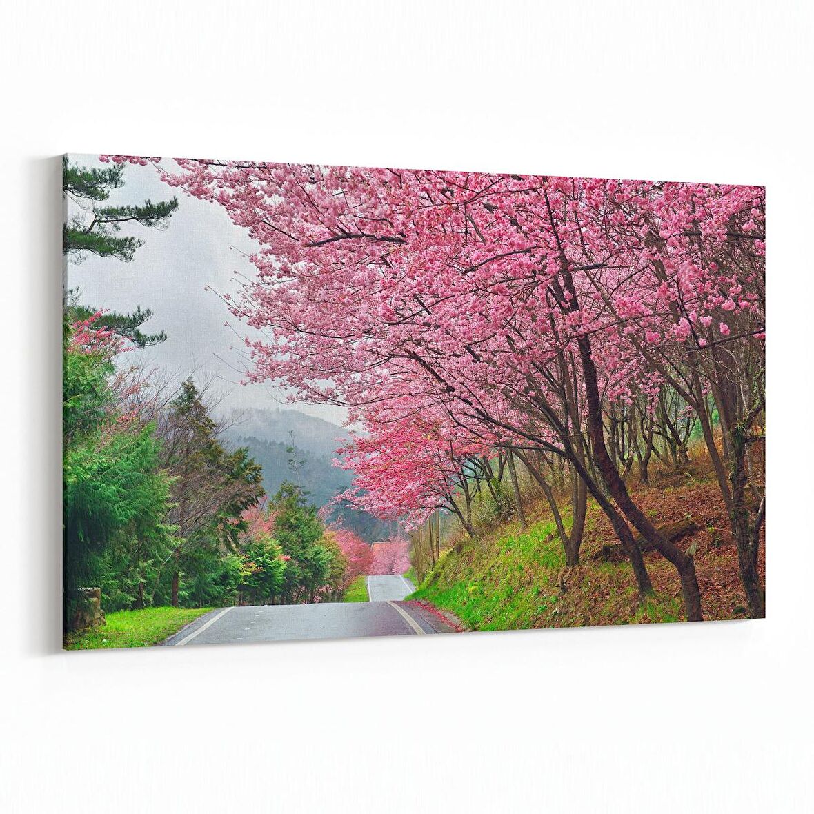 Olla 13692Y Doğa / Manzara Görseli Yatay Kanvas Tablo (Ölçü: 30X20)