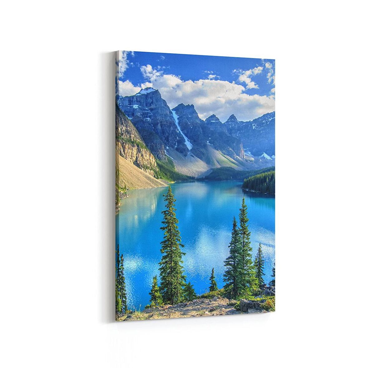 Olla 14249D Doğa / Manzara Görseli Dikey Kanvas Tablo (Ölçü: 100X150)