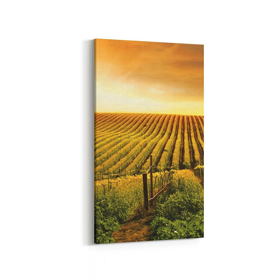 Olla 15939DD Günbatımı Görseli Dikey Dar Kanvas Tablo (Ölçü: 60X120)