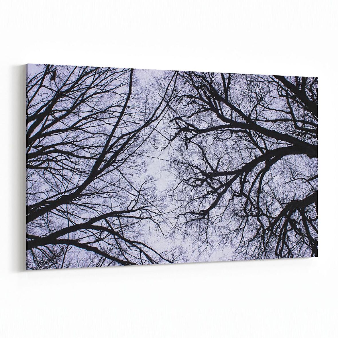 Olla 11022Y Ağaç Görseli Yatay Kanvas Tablo (Ölçü: 90X60)