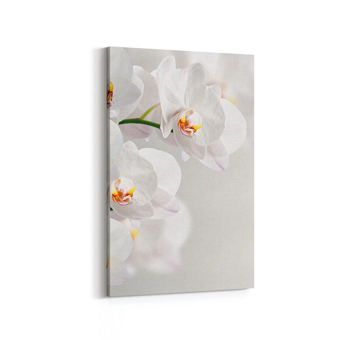 Olla 11704D Orkide Çiçek Görseli Dikey Kanvas Tablo (Ölçü: 70X105)