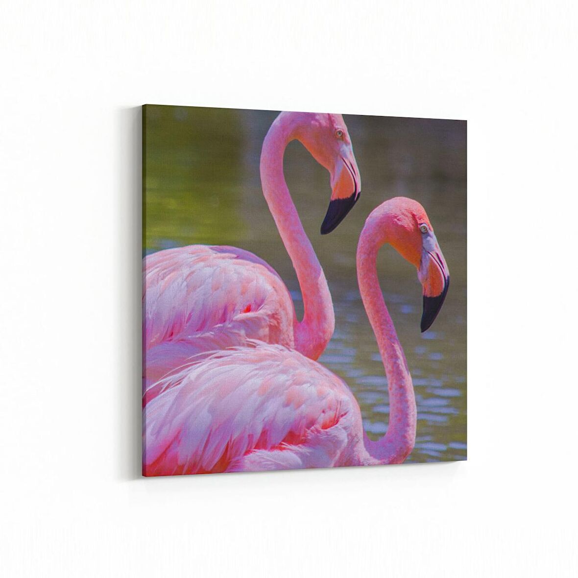 Olla 12482K Hayvanlar Alemi Görseli Kare Kanvas Tablo (Ölçü: 60X60)