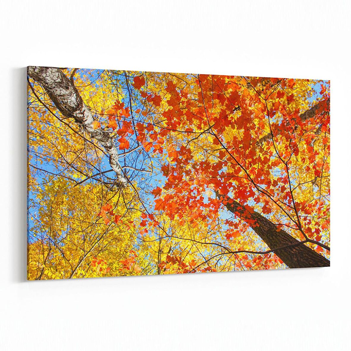 Olla 10908Y Ağaç Görseli Yatay Kanvas Tablo (Ölçü: 45X30)