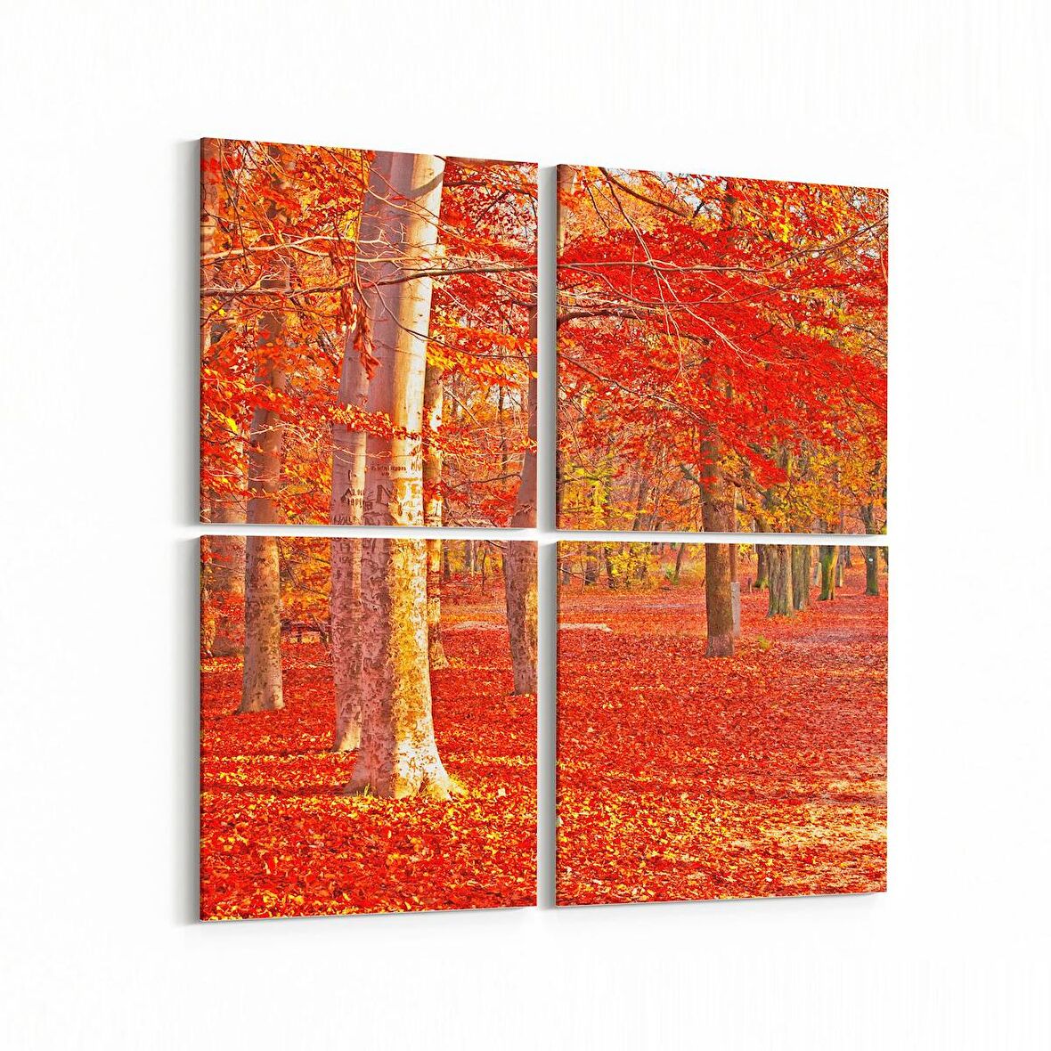 Olla 13553K4 Doğa / Manzara Görseli Kare 4'lü Kanvas Tablo (Ölçü: 145X145)