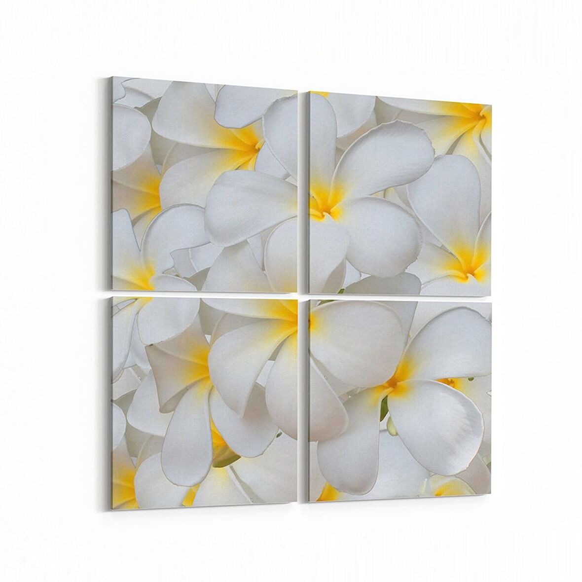 Olla 11633K4 Çiçek Görseli Kare 4'lü Kanvas Tablo (Ölçü: 145X145)