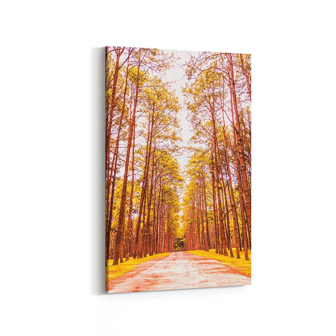 Olla 14101D Doğa / Manzara Görseli Dikey Kanvas Tablo (Ölçü: 60X90)