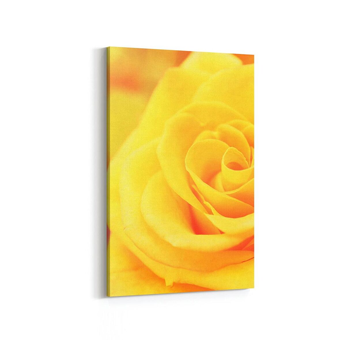 Olla 11592D Çiçek Görseli Dikey Kanvas Tablo (Ölçü: 60X90)