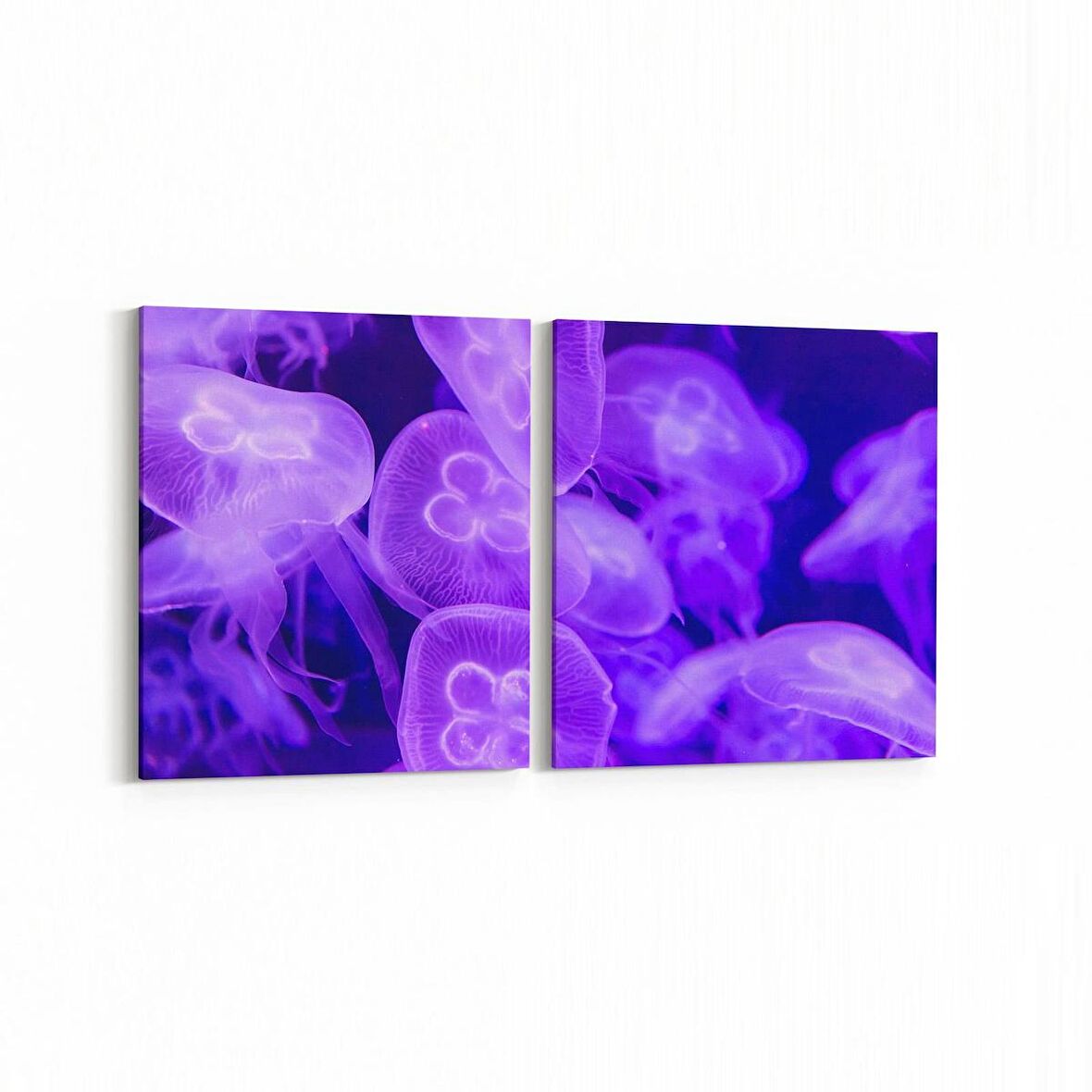 Olla 12872K2Y Deniz / Okyanus Görseli Kare 2'li Yatay Kanvas Tablo (Ölçü: 65X30)